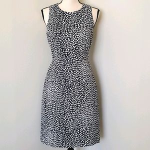 J.Crew Navy with White Polka Dot Sheath Dress
